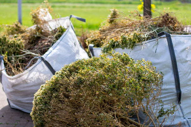 Demolition Debris Removal in Parrish, AL